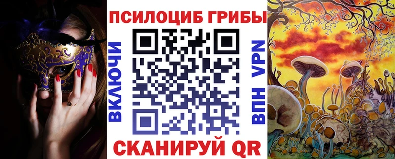 Галлюциногенные грибы Psilocybine cubensis  Купить  Астрахань 
